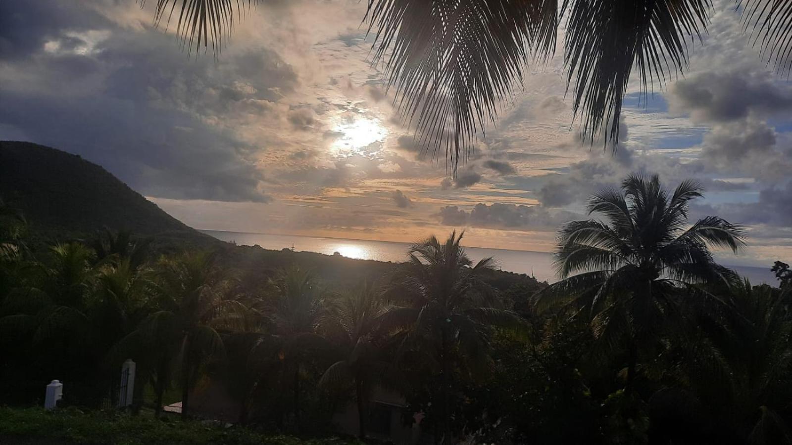 Villa Oasis de Grande Anse à Deshaies Extérieur photo