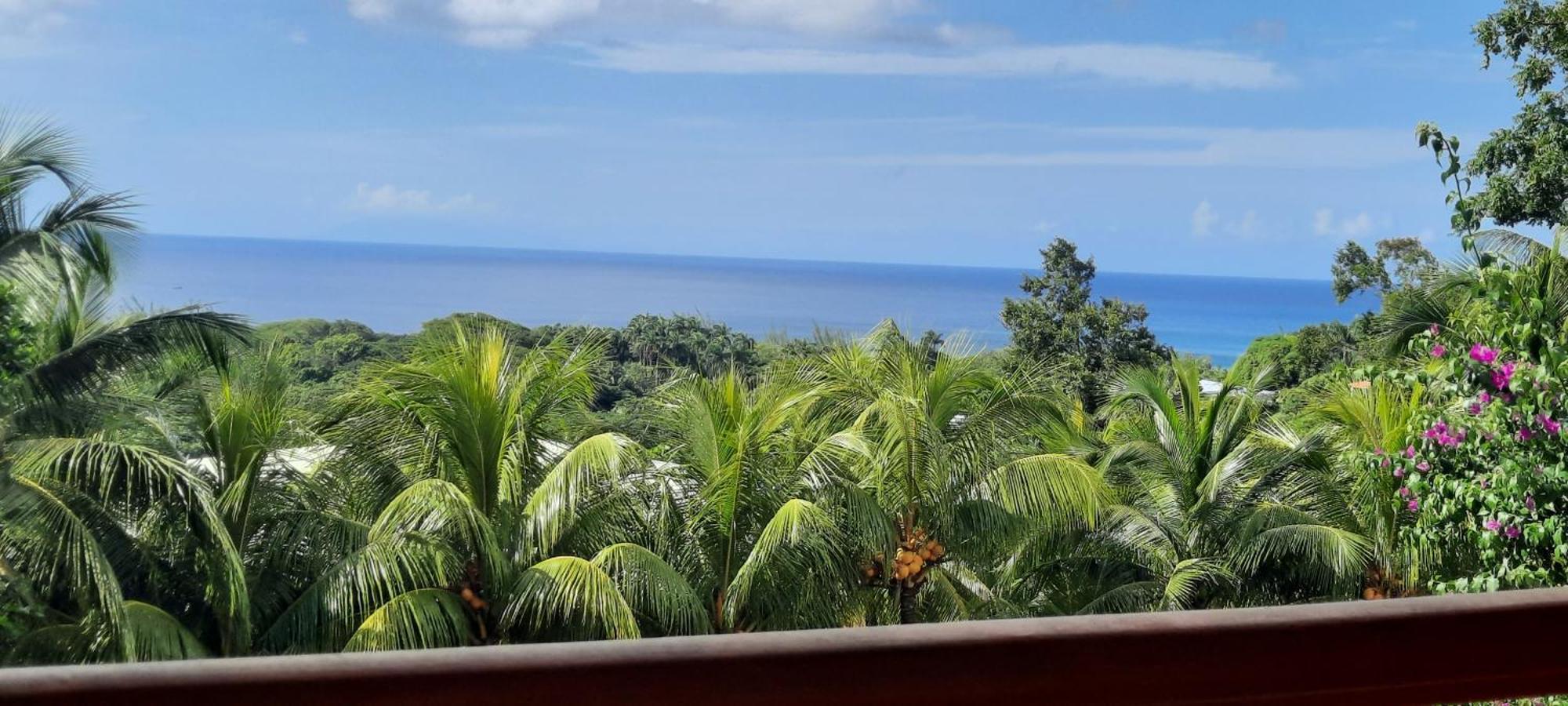Villa Oasis de Grande Anse à Deshaies Extérieur photo