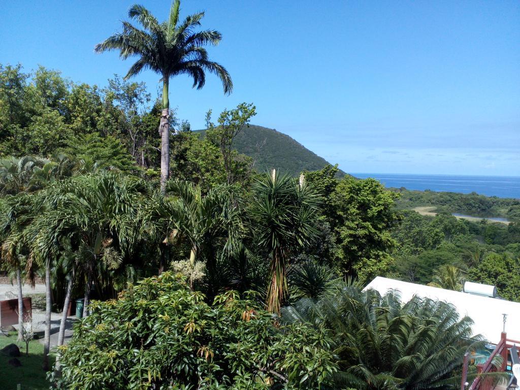 Villa Oasis de Grande Anse à Deshaies Extérieur photo