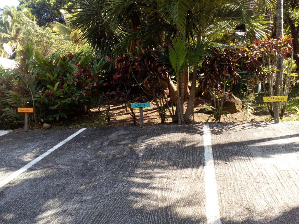 Villa Oasis de Grande Anse à Deshaies Extérieur photo
