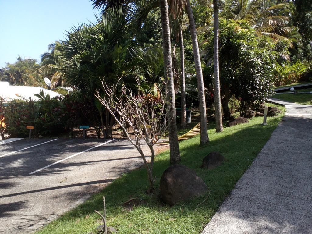 Villa Oasis de Grande Anse à Deshaies Extérieur photo