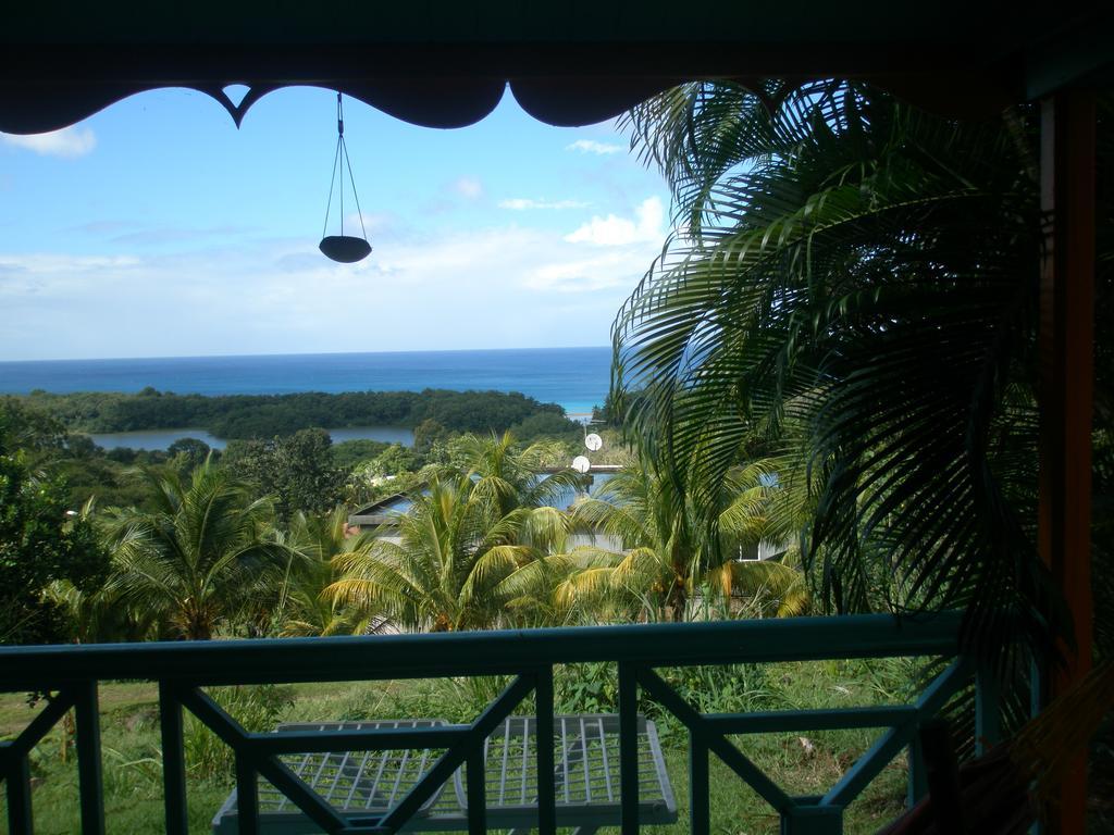 Villa Oasis de Grande Anse à Deshaies Extérieur photo