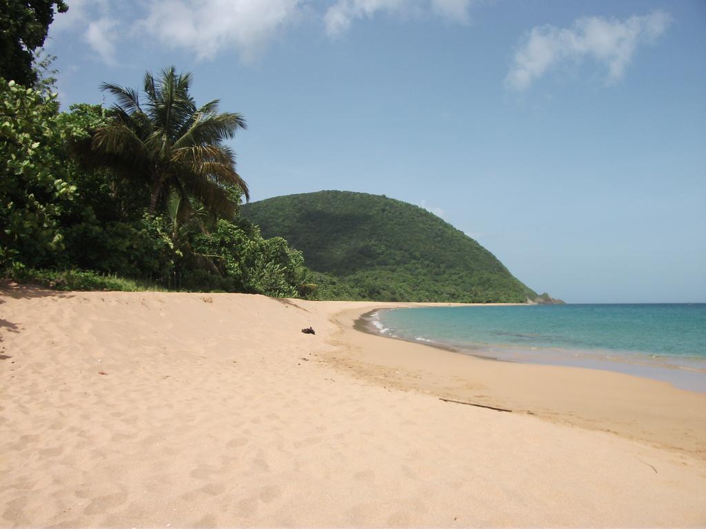 Villa Oasis de Grande Anse à Deshaies Chambre photo