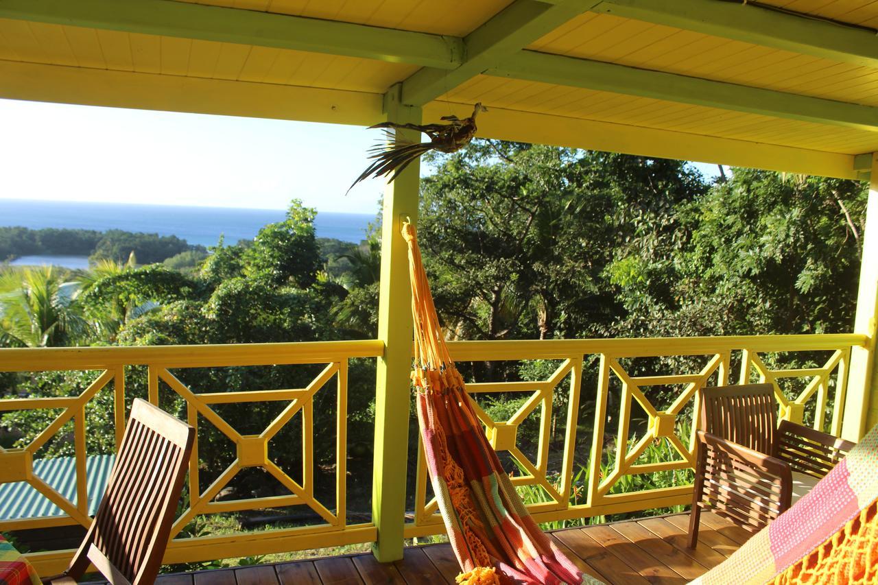 Villa Oasis de Grande Anse à Deshaies Extérieur photo