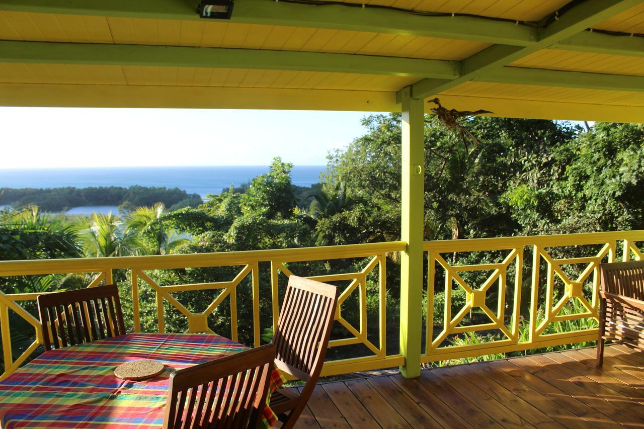 Villa Oasis de Grande Anse à Deshaies Extérieur photo