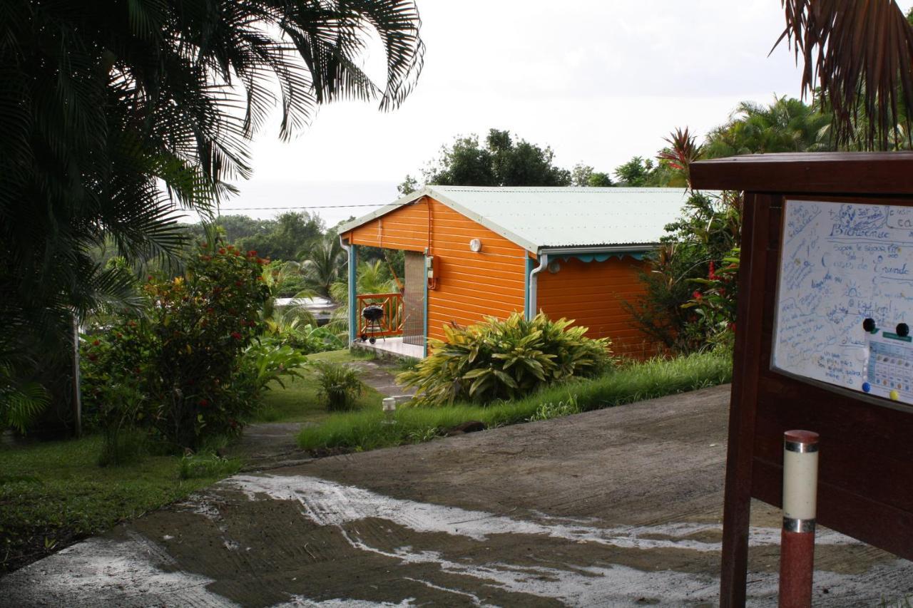 Villa Oasis de Grande Anse à Deshaies Extérieur photo
